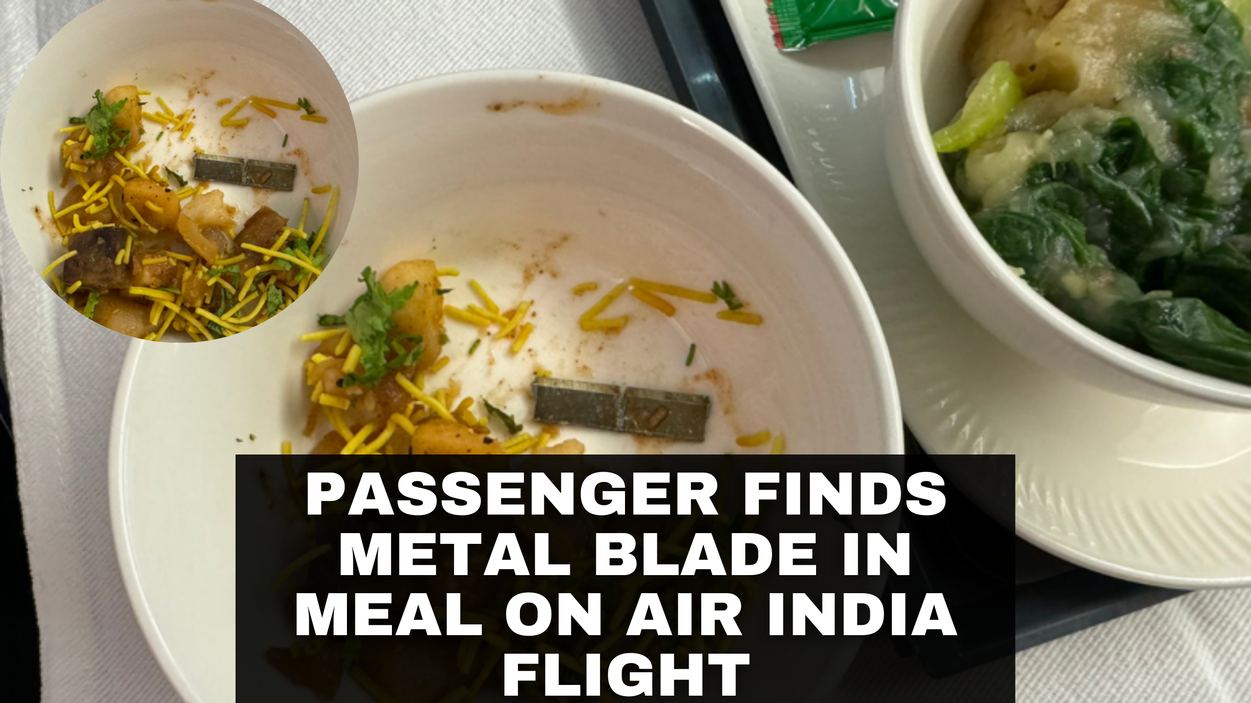 Passenger Finds Metal Blade in Meal on Air India Flight