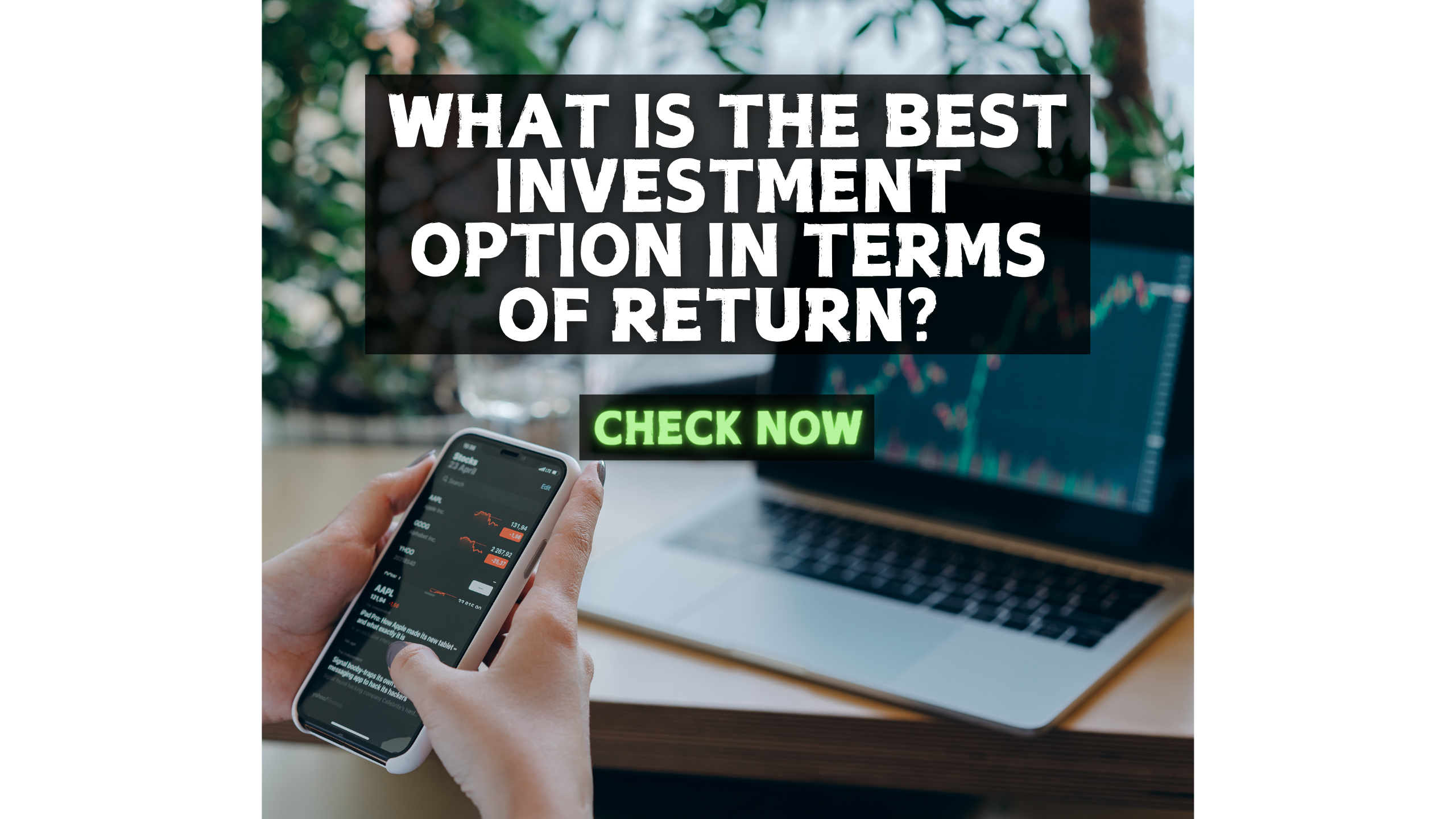 Best Investment Option In Terms Of Return in 2024?