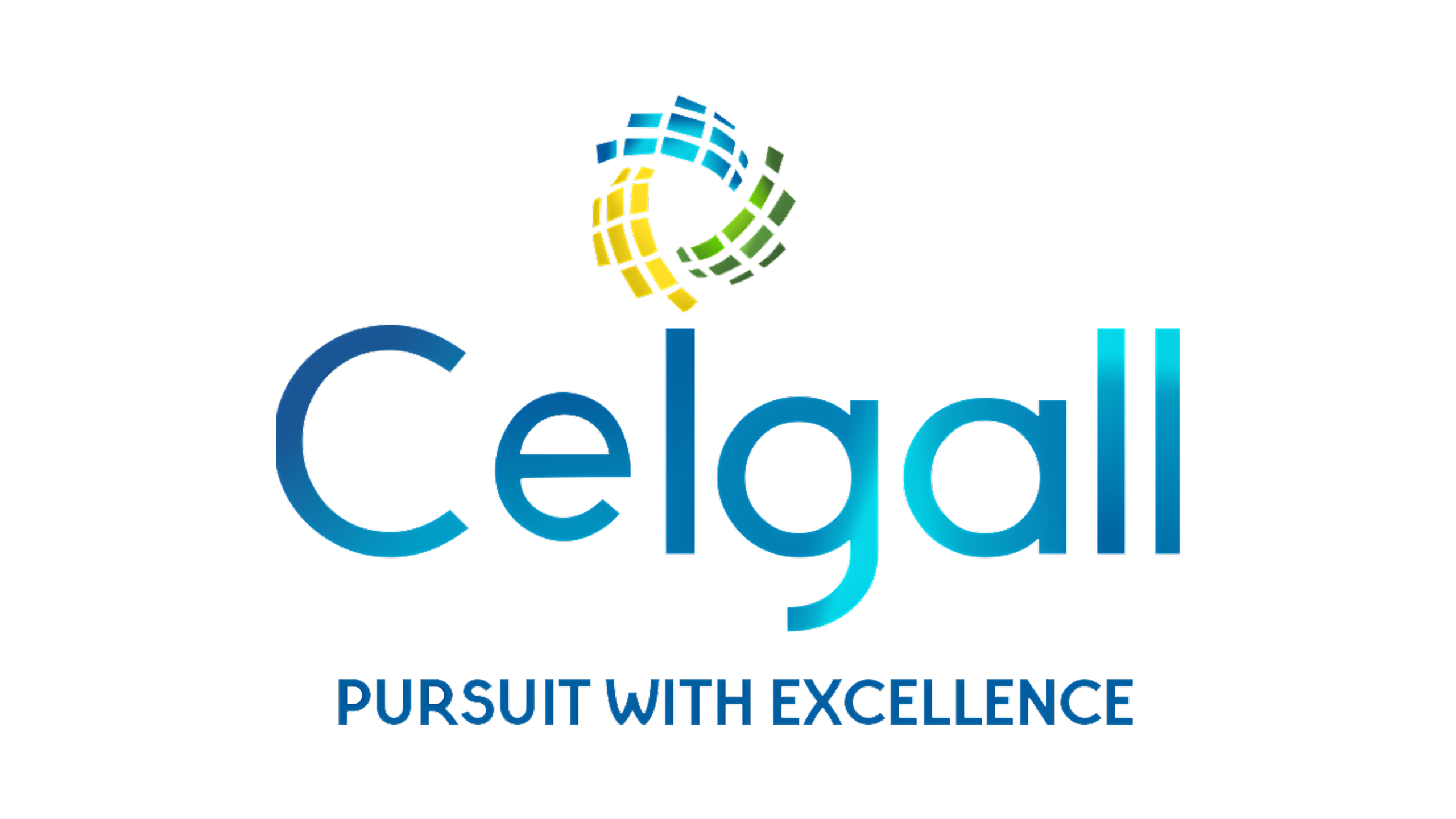 Ceigall India's Upcoming IPO: A Comprehensive Guide